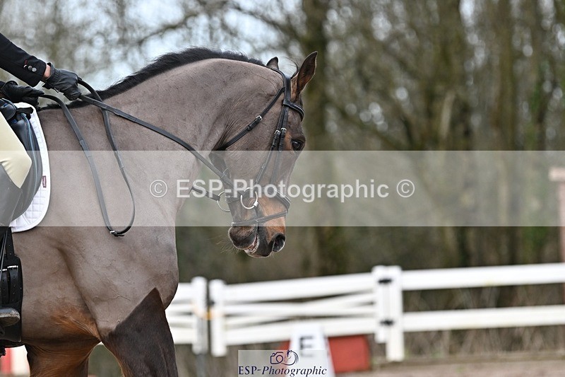 250125-134940-00698 - Dressage - CT Class 7 BE Novice 112