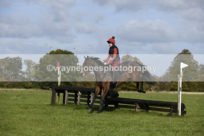 _DSC5608 - Time 10:49 to 11:23