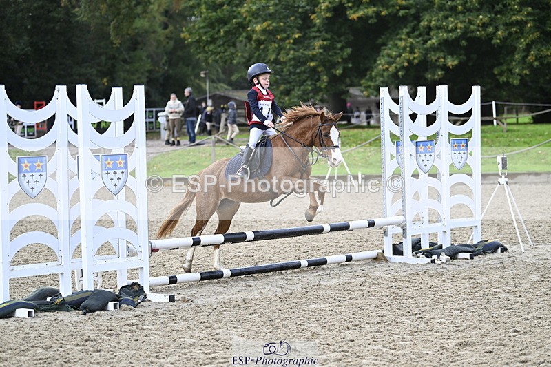 251005A-090900-02965 - Cls 02 GR 50cm