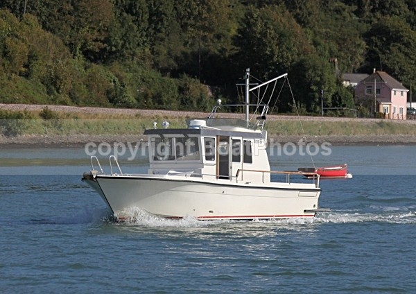 090917 WILD GOOSE IMG_7276 - Motorboats - Hardtop