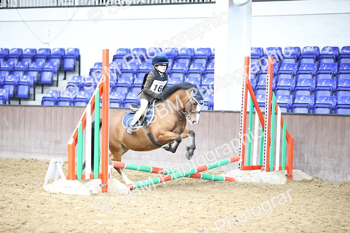 SBM_000266 - Class 2 - The Rug Lady 40cm Area 12 Championship Qualifier