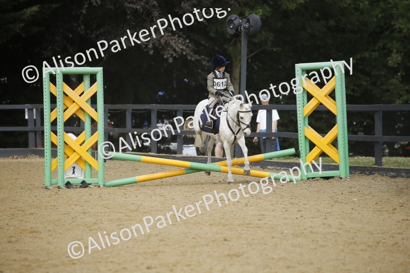 20250622-3735 - 50cm