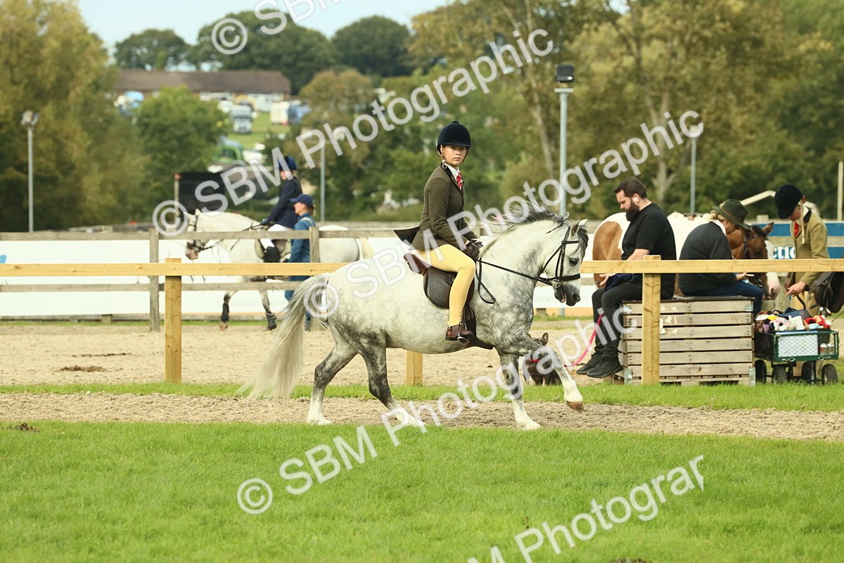 SBM_69857 - S59 - Mountain & Moorland Ridden Small Breeds