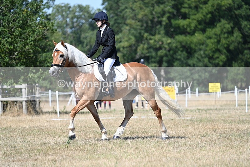 WJ7_0300 - Time 11:33 to 11:44