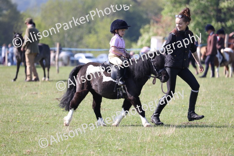 20250427-0164 - Class 30 - Tiny Tots Lead Rein