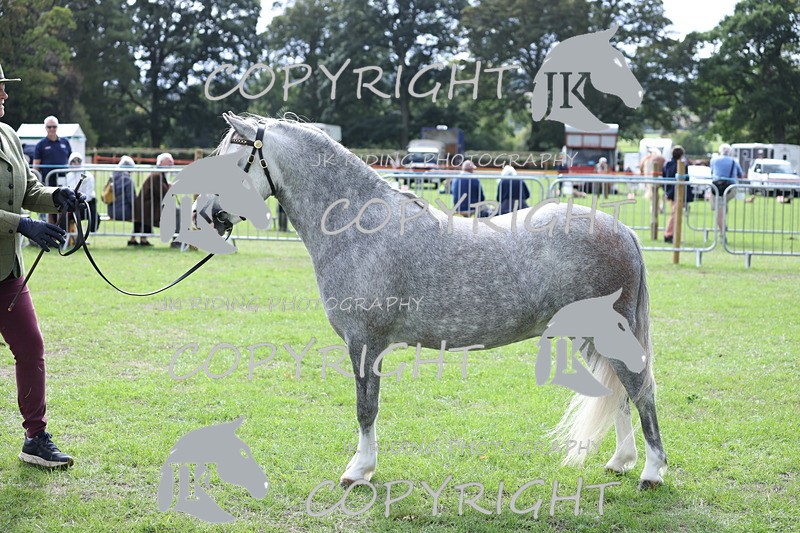 APP_2948 - Class 10a/b M&M in hand