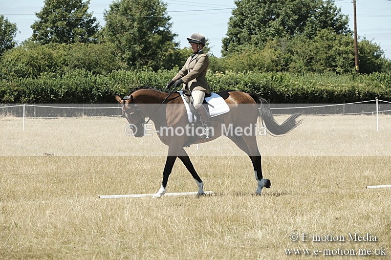 _PJP5942 - Dressage Classes BVRC Show 2018