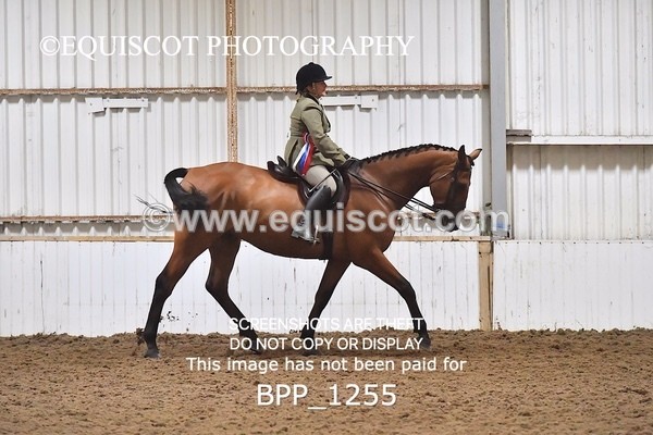 BPP_1255 - RING 2