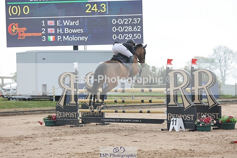 250424-092034-02718 - Cls 29 Young Horse 6yr old