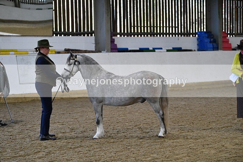 WJ5_3953 - Class 2 Best Condition In hand