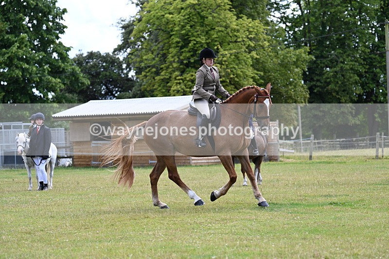 WJ7_9327 - Class 8 Ridden Veterans