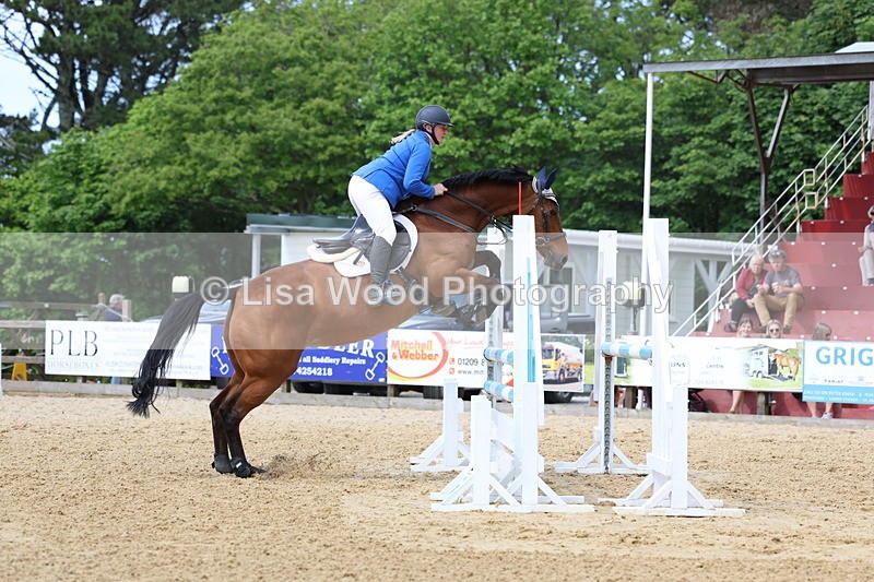 3E7A7324 - Class 7: Senior Newcomers/1.10m open