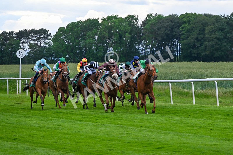 310526-Race 7-Annastarzy-9410 - Race 7 18.45pm Sky Bet Build A Bet Fillies' Handicap