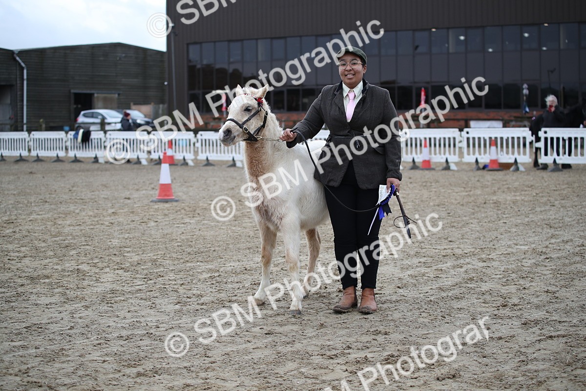 SBM_004587 - Class 5-9 - NPS In Hand-Show Hunter-Intermediate Ridden Inc Ridden Championship