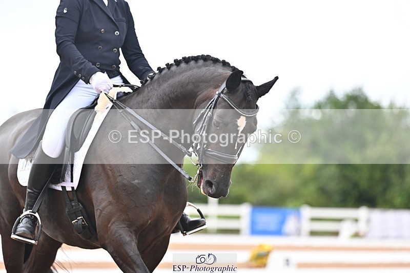 240815A-162253-02655 - 146-Charlie.Morgan-Jasmijn