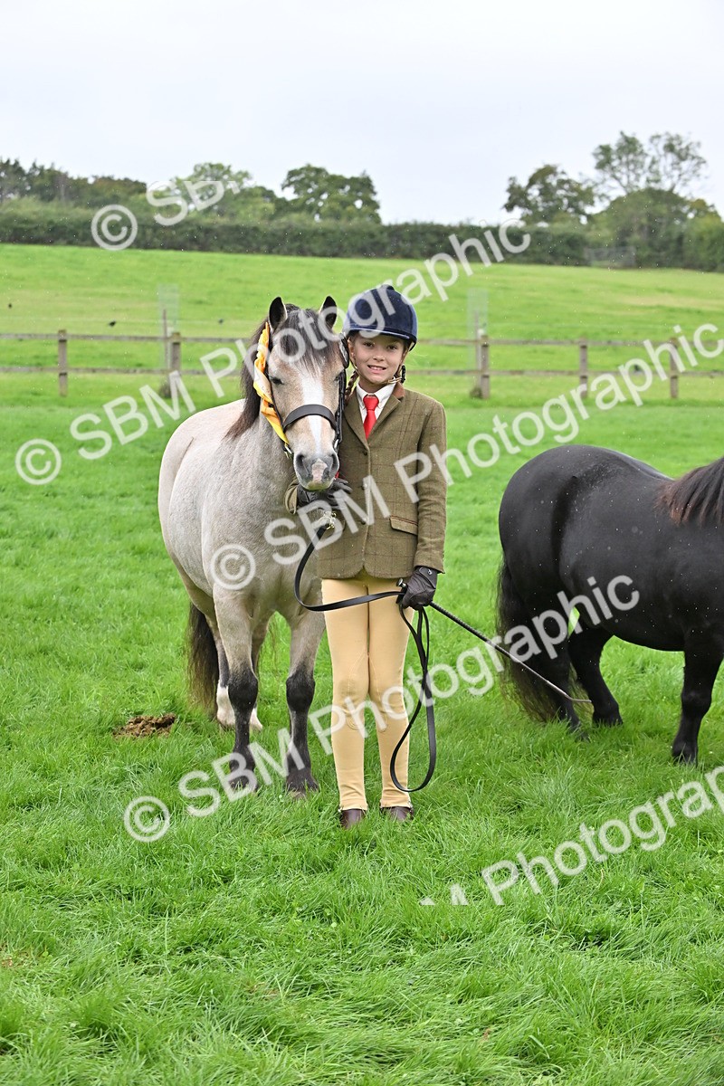 SBM_68632 - S42 - Junior Handler 9-12 Years