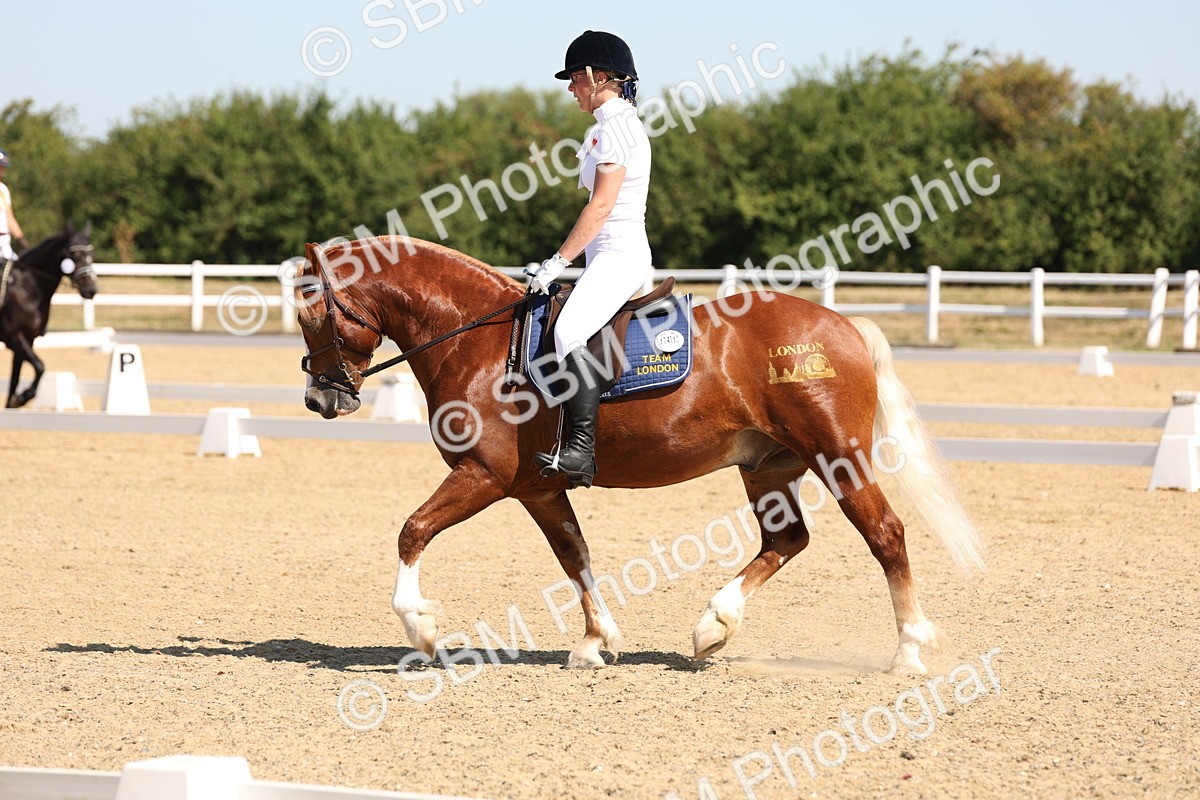 SBM_001086 - Intro 2