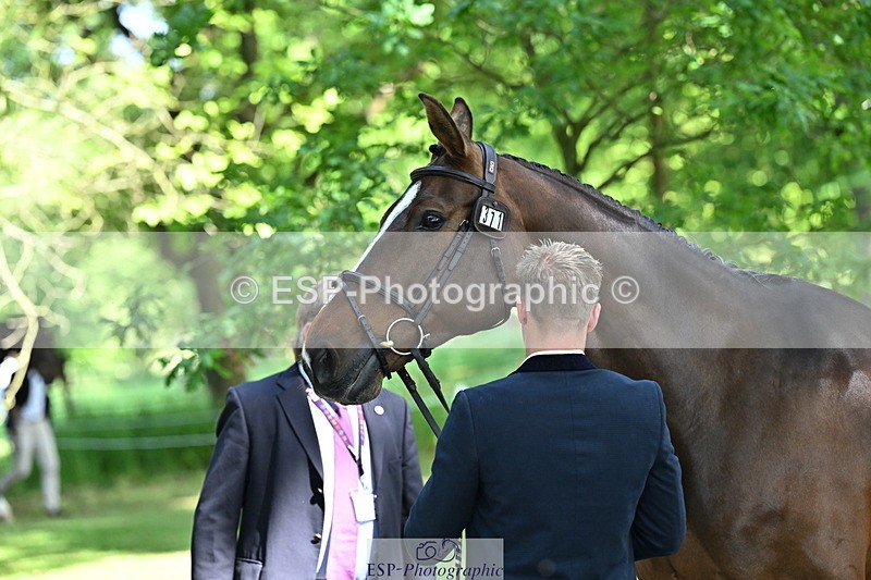 250521A-154835-00776 - B-371-Ben.Perry-FA.KARLA