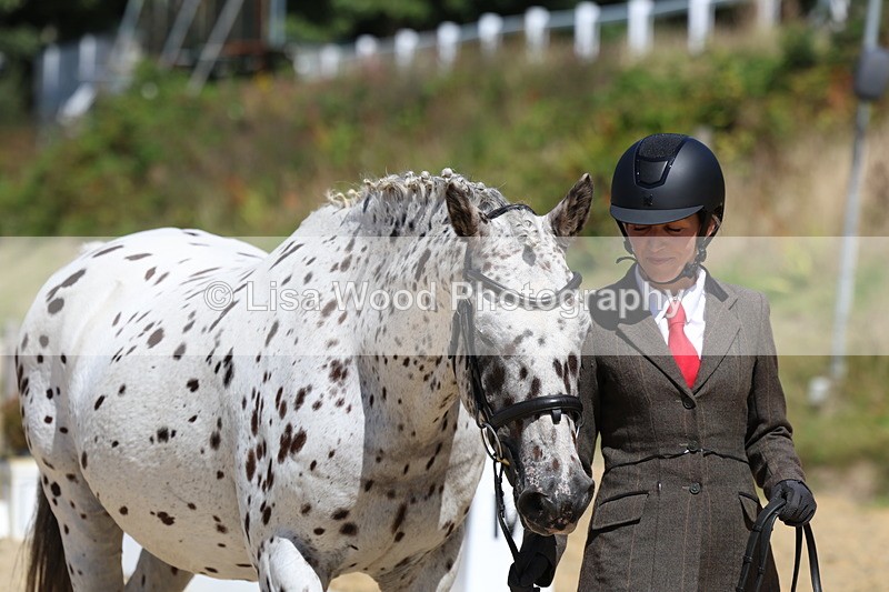 3E7A9387 - Class 29: Veteran In Hand