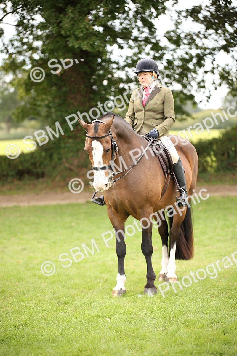 SBM_72359 - S67 - Show Cob Ridden