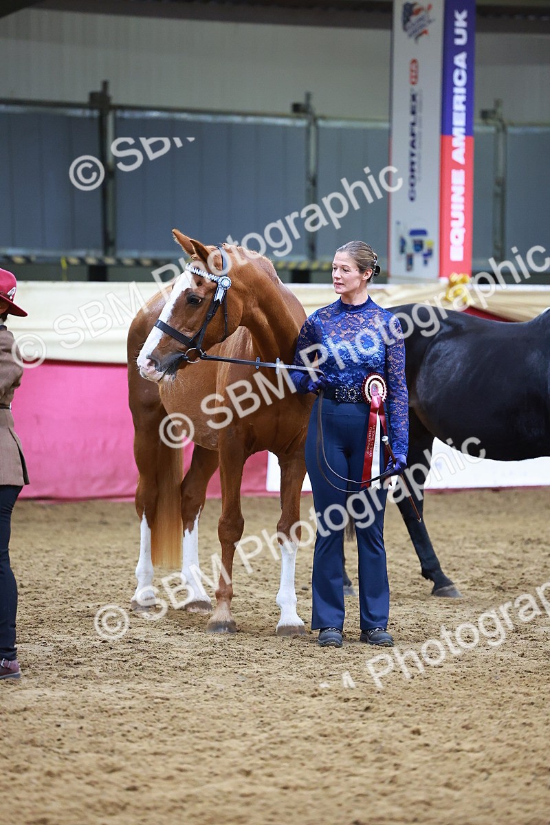 SBM_16245