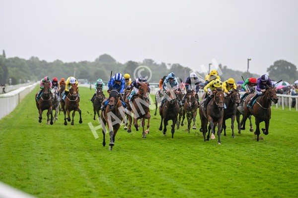 130724-Race 3-Enfjaar-7239 - Race 3 3.10pm John Smith's Cup Handicap