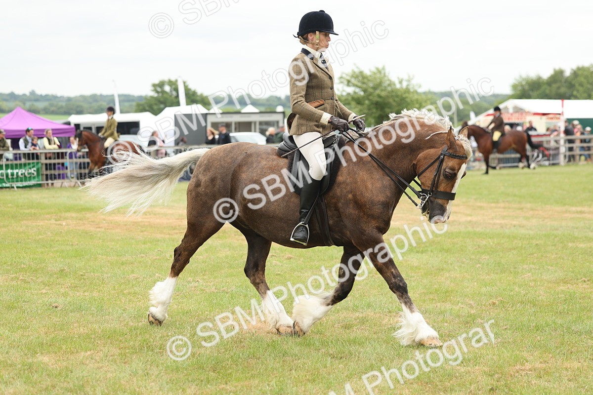 SBM_07204 - Class 76-77 - Ridden M&M Welsh Ponies