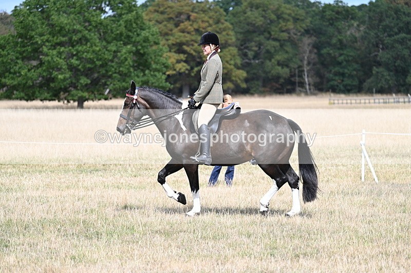 WJ7_5882 - Class 13 Ridden Veterans