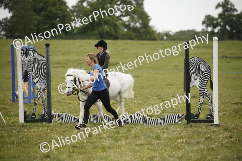 20250517-0158 - Class 1 - 30cm On Lead Rein