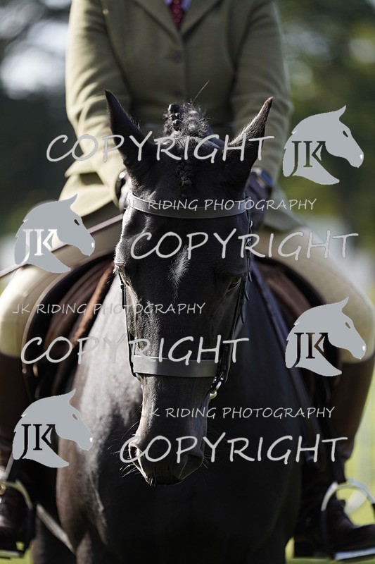 _DSC9563 - Class 8 & 17 Ridden Hunter & Ridden Hunter Pony