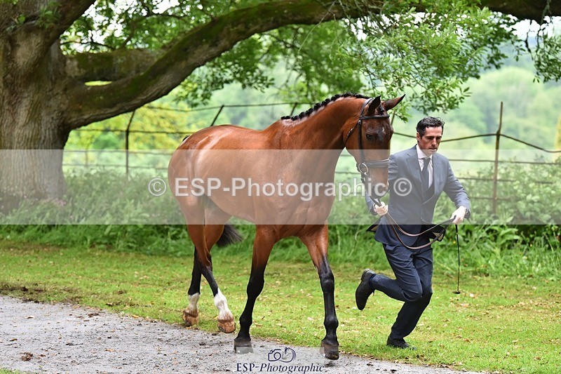 240522-163524-01028 - 213-GLOBAL_KARINA-Hector_Payne