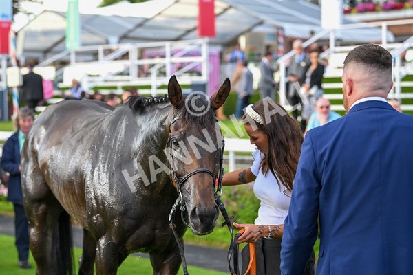 260724-Race 4-Dicko The Legend-5308 - Race 4 7.15pm Tomahawk Restaurants Handicap