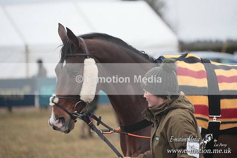 PtP 260125 395 - Cocklebarrow Point-to-Point racing with the Heythrop Hunt 26/01/25