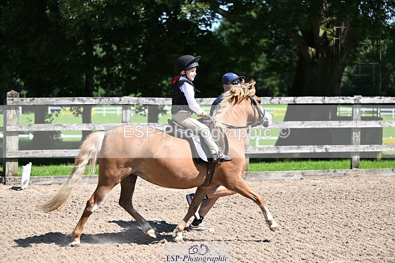 240729B-111817-02313 - Showjumping Competition
