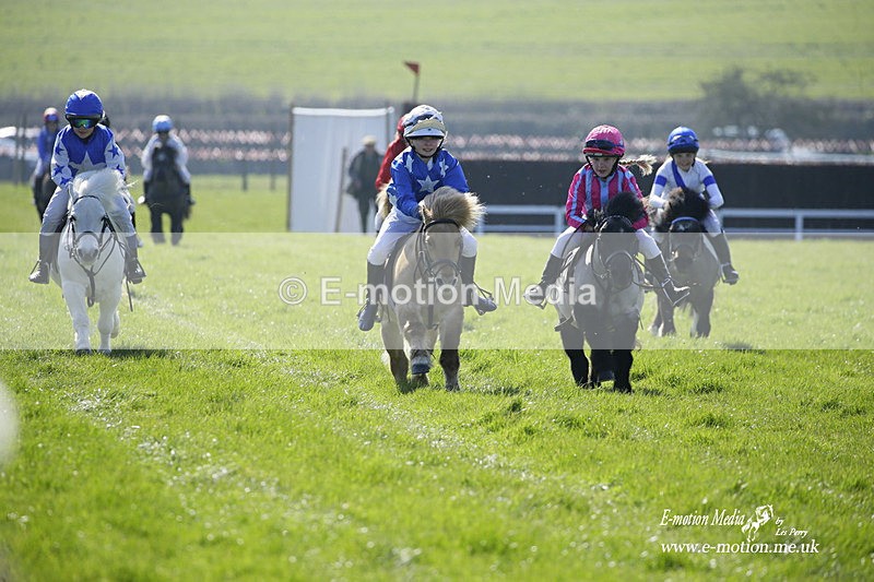 PtP 190322 2 - Wilton Hunt PtP Milborne St Andrew 19/03/22