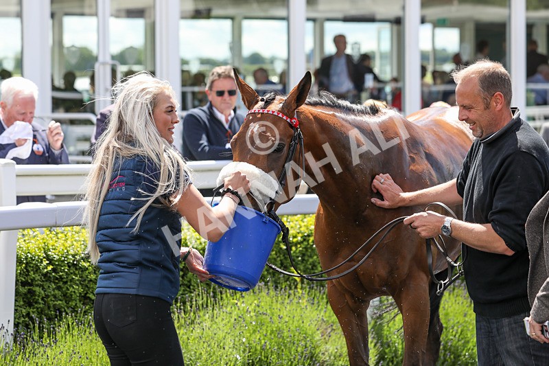 080624-Race 1-Rapido Girl-4579 - Race 1
