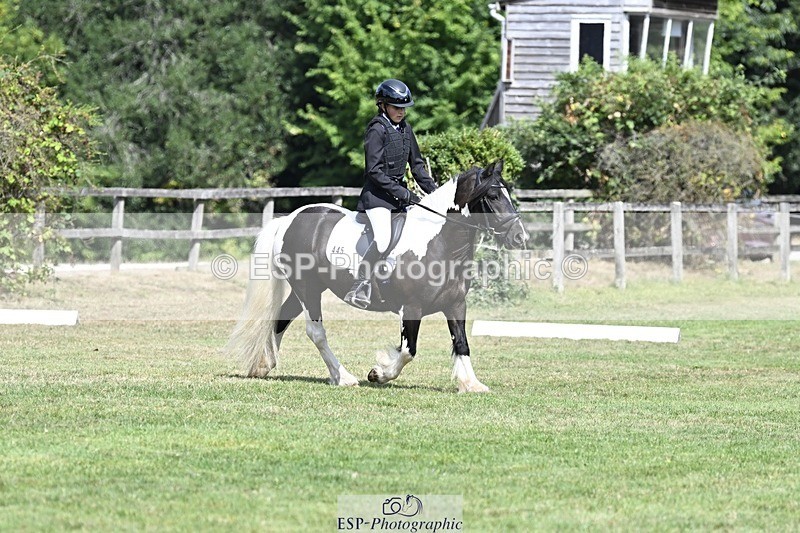 250821A-114144-15288 - DR 11.00 to 12.00