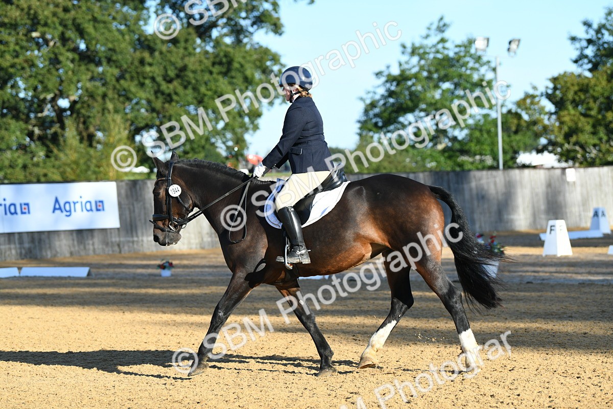 SBM_14387 - D4 - Small Tour Championship - Intro B