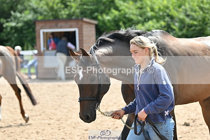 240717A-152641-02831 - Trot Up 3pm to 4pm