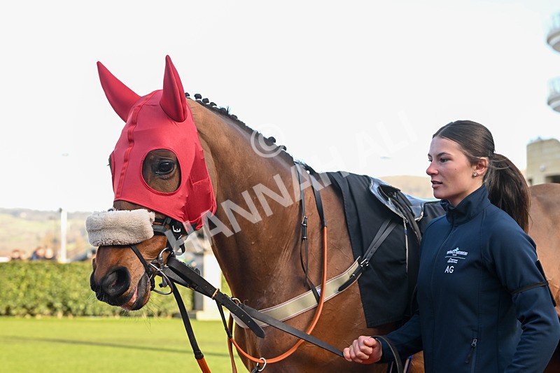 250125-Race 1-Billytherealbigred-3821 - Race 1