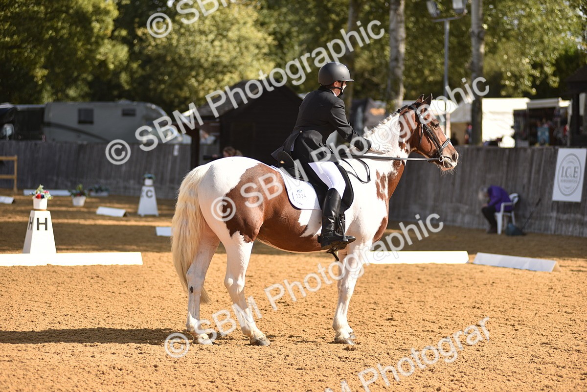 SBM_03193 - D4 - Small Tour Championship Intro 4