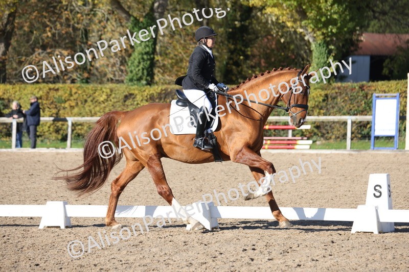 20251102-0952 - Class 5 - Elementary 5