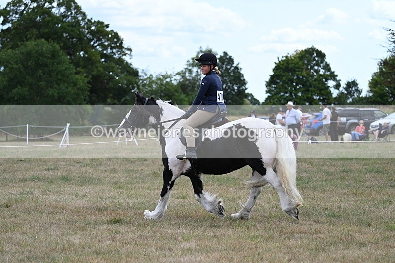 WJ7_5019 - Class 12 Ridden Cob