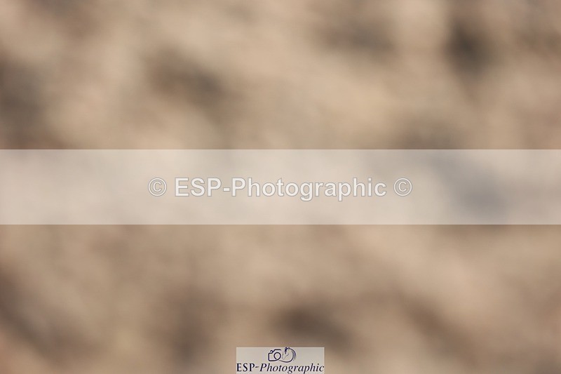 250622-084423-13787 - Cls 44 Prelim 5, Start to 9.20am