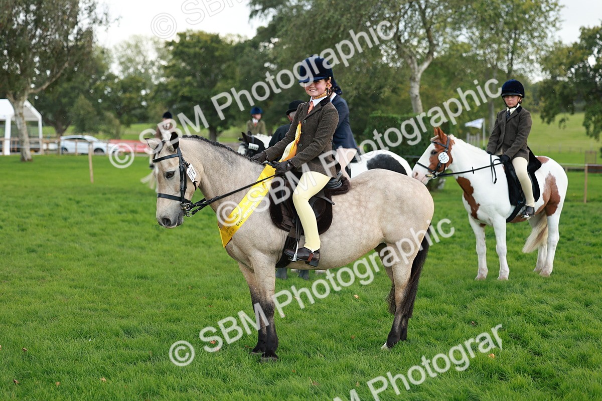 SBM_28877 - S7 - Novice & Newcomer Ridden Pony
