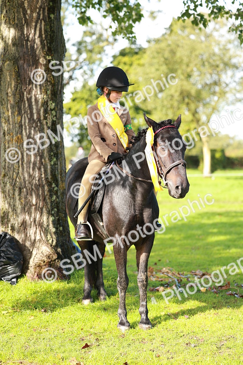 SBM_37059 - S11 - Best Ridden Horse & Pony