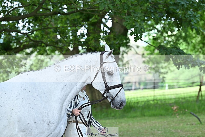 250521A-170343-01499 - C-283-Laura.Collett-COOLEY.ICEAGE