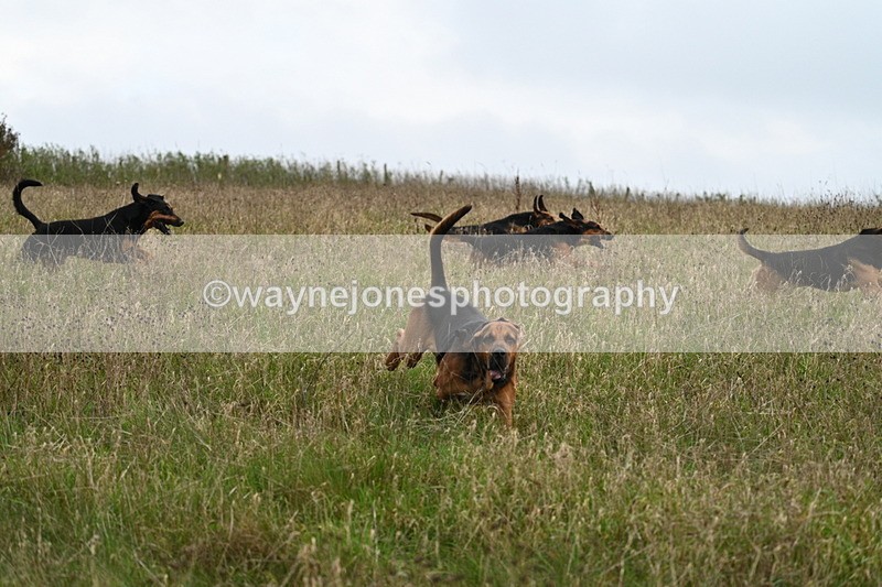 WJ7_9823 - Camera 1 & Last fence