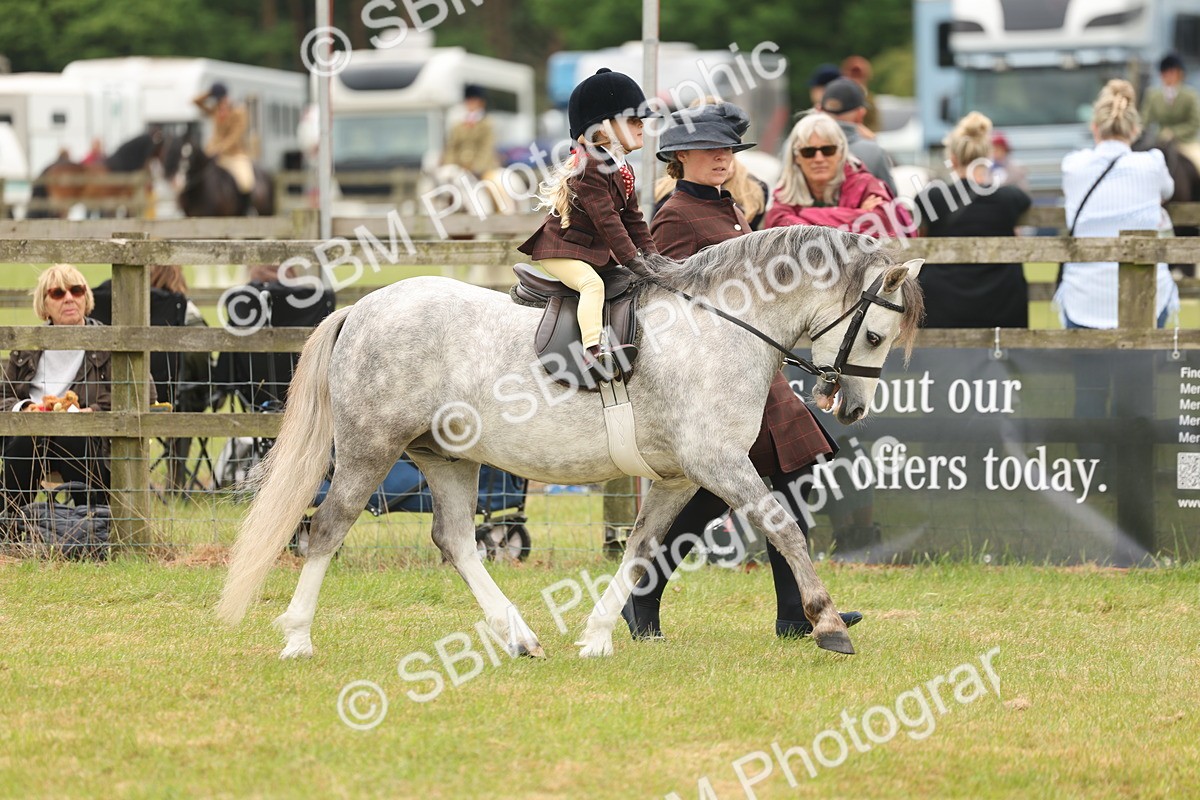 SBM_06672 - Class 74-75 - M&M Lead Rein and First Ridden Pony