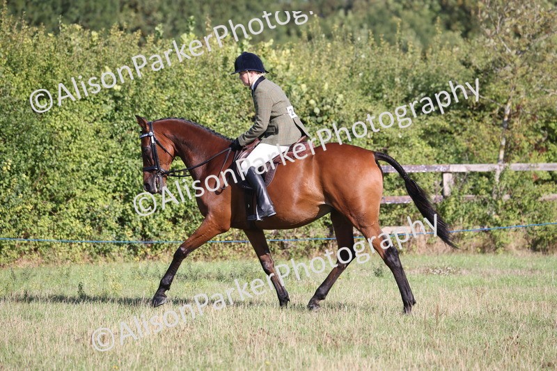 20260906-0390 - Class 14 - Ex Racehorse